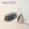 mouse SCUT